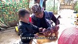 粉丝用公羊和拐哥换鱼鹰，大家来看看值不值