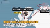 从挪威到加拿大，北极狐76天行3506公里觅食