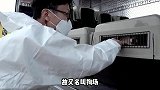 饲养的漂亮狗狗沦落到狗场被屠宰，到底是违法买卖还是主人遗弃？