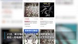 鳄雀鳝或攻击人类，仍有电商售卖鳄雀鳝，10几元一条