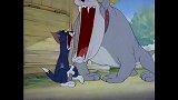 猫和老鼠：汤姆的好事被杰瑞破坏，暴跳如雷，到狗地盘撒野！