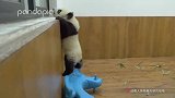 在江左梅梅眼皮底下还想溜？笑话！