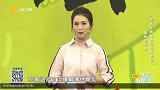 缓解慢性胃炎肠炎的健脾祛湿汤