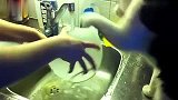 搞笑-20130906-超萌喵星人帮忙洗碗！！！“妈咪妈咪，爪子是不是要介样子来洗碗碗呀？”