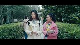 刘亦菲真是太美了，真是一笑倾城，演技太好了！
