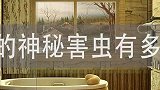 害虫有多可怕该如何预防