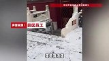 潭柘寺矫健黑猫雪中偷袭鸽子，一个“滑铲”将其扑住后叼走