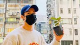 正能量！许光汉手捧绿植致敬前线医护，祝福世界一切平安