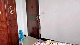 小奶猫上厕所，假装埋臭臭，被主人逮现行，大猫随即帮忙埋，真棒