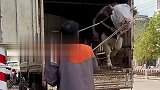 也不给个台阶下！太无情了