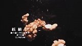 宁夏老人都有这一长寿法宝，从早到晚喝不停，健康的秘诀全靠它！