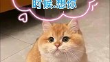 时间过得太快了