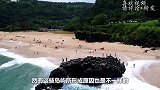 不可思议的“海螺岛”，历经上千年才形成，网友：吃货的力量！