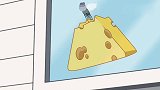 猫和老鼠：杰瑞抢奶酪，被苍蝇算计，真是风水轮流转呀