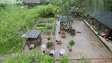 黄磊跟陈赫在厨房弄鲍鱼，李雪琴一脸惊讶：伙食这么好！