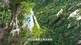揭秘岩耳采摘过程，男子爬上千米悬崖，只为采摘1000元一斤的食材