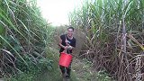 自制捕鱼神器投入黑乎乎的恐怖深潭，阿琪下足诱饵，真为鱼儿担心