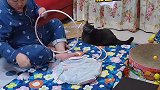 爸爸带娃做手工