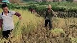 这是我的江山啊