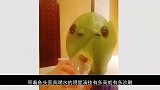 杨紫带鱼头面具喝水毫无包袱，沙雕气息覆盖全网！笑skr人