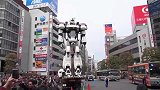 最怕它忽然跑掉机器人