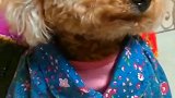 你看着我眼睛说