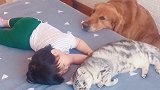 小宝宝睡的特别香，猫咪和狗狗一直陪伴着她