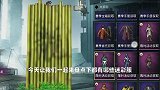游戏中那些非常稀有的迷彩服，你拥有几套，其中山猫最稀有