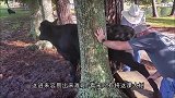 男子途经郊外，发现路上有着一个“马头”，男子连忙叫来全村人