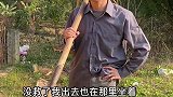 把我当什么了，我再睡几年就长大了
