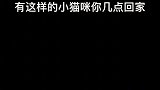以前是下课就想跑回去撸它，现在是下班就想冲回去陪它