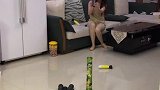 这爷俩三天没挨打了太淘气了