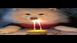 三岁生日，给它做生日蛋糕，唱生日歌，结果它一脸懵逼