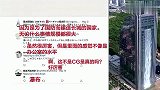小伙套鹅短视频，老外：这是高手，老板要哭了哈哈