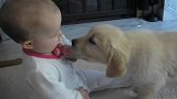 小宝宝第一次见到小奶狗，一娃一狗都高兴坏了，场面瞬间萌翻了
