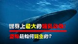 世界上最大的哺乳动物，心脏相当于一辆跑车，蓝鲸是怎么诞生的？
