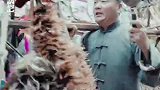 那时崮城百姓的生活，像檐下晒着的粗布衣裳，带着阳光的暖，透着日子的实，那时的战火还远在风没吹到的地方……