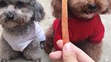 懂事的好哥哥，这几天由于忙。没更新，给大家道歉了。