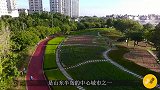 未来山东第三个即将拥有地铁的城市，临沂和烟台，你更看好谁