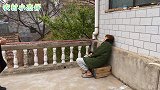 小伙一夜没睡觉，只为看一个鸭蛋怕被猫吃，妈妈还有点不相信