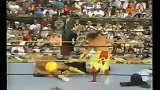 WWE-14年-1993年《摔角狂热9》中-全场