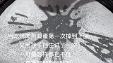 怎么也挡不住这个蛋往下掉