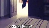 床的弹性真好