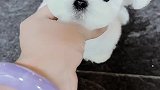 这是什么神仙颜值