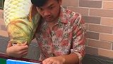 这运气也太好了