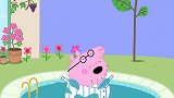小猪佩奇：猪爸爸度假第一天，刚走出小屋，就掉进了游泳池！
