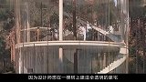 土豪打造“豪宅”全透明设计耗费500万美元，看完你敢住吗