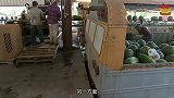 “天然的美容菜”找到了，坚持一直吃，淡化色斑除皱纹，改善气色