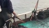 赶海捉海鲜，有付出就有回报