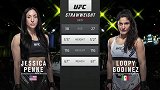 UFC on ESPN22：杰西卡-佩内VS鲁皮塔-戈迪尼斯